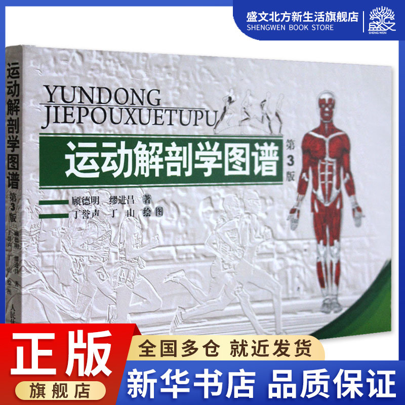 运动解剖学图谱修订第3版 肌肉塑造教程全书 人民体育健身