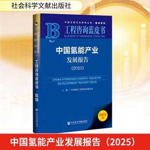 中国氢能产业发展报告（2025）经济理论、法规