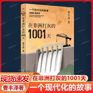 在非洲打灰的1001天：一个现代化的故事 曹丰泽 南方 非洲 现代化 基础工程建设 东方出版社 正版书籍 新华书店