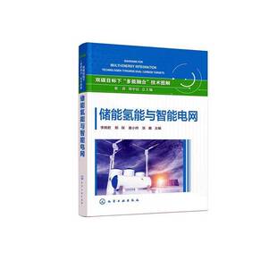 储能氢能与智能电网 经济 蔡睿 社 9787122459183 化学工业出版 书籍正版