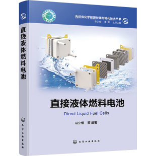 先进电化学能源存储与转化技术丛书 直接液体燃料电池能源科学