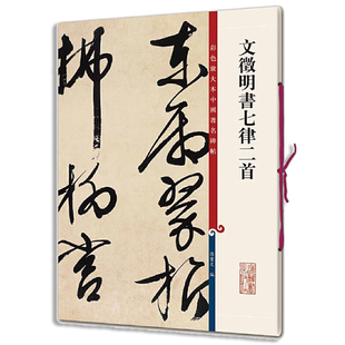 文徵明书七律二首/彩色放大本中国碑帖 孙宝文 编 上海辞书出版社 新华书店正版