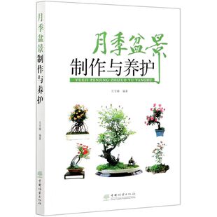 盆景制作与养护兑宝峰9787521910001新华书店正版 月季 当当图书