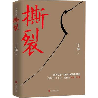 撕裂 丁捷 著 著 官场、职场小说 文学 中国文联出版社 图书