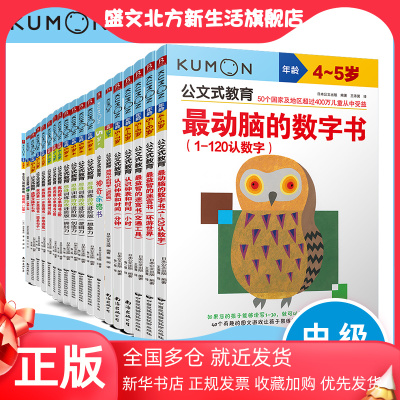 当当网正版童书 公文式教育 全脑开发晋级游戏 幼小衔接思维训练篇全19册