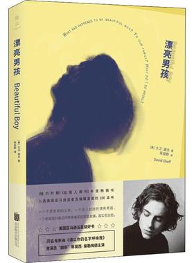 漂亮男孩 (美)大卫·谢夫(David Sheff) 著 陈俊群 译 外国现当代文学 文学 北京联合出版有限责任公司 图书