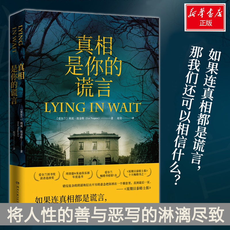 真相是你的谎言 (爱尔兰)利兹·纽金特(liz nugent) 著 赵莹 译 外国
