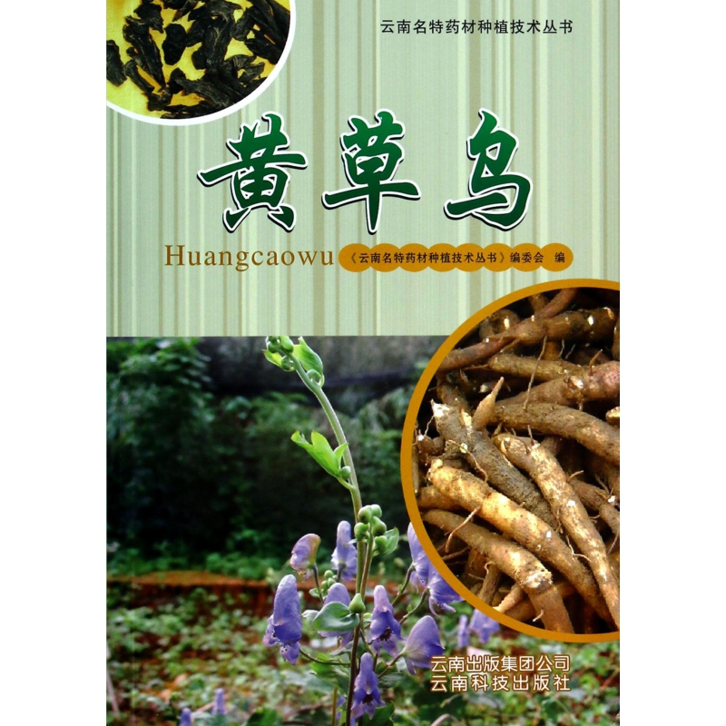 黄草乌/云南名特药材种植技术丛书