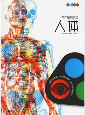 人体 (意)马特奥·戈勒(Matteo Gaule) 著 爱科维特 译 绘本 少儿 江苏教育出版社 图书