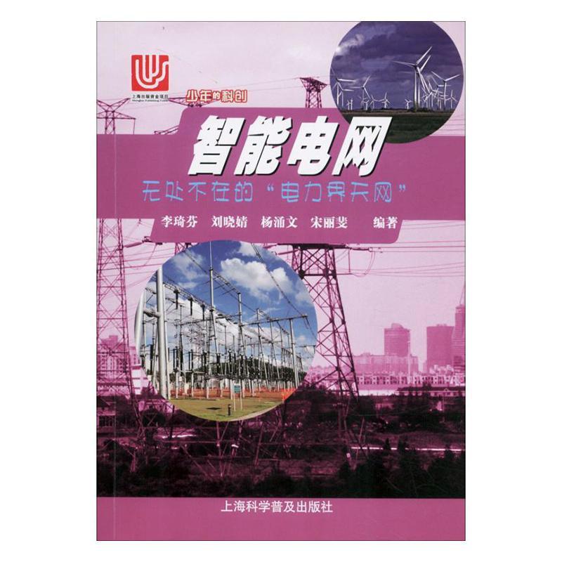 书籍正版 智能电网——无处不在的“电力界天网” 李琦芬 上海科学普及出版社 工业技术 9787542775863