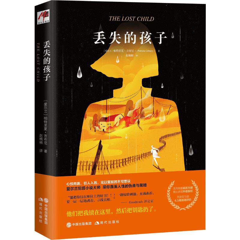 丢失的孩子 (爱尔兰)帕特里夏·吉布尼(patricia gibney) 著 赵楠楠