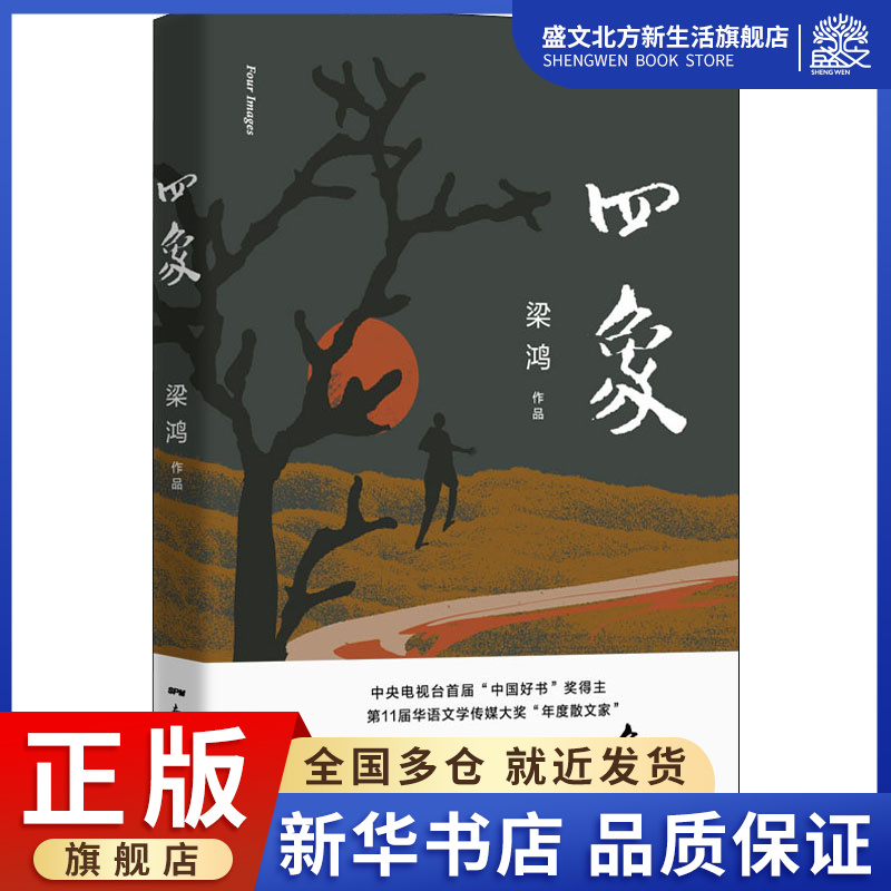 四象 梁鸿 著 中国现当代文学 文学 花城出版社 图书 书籍/杂志/报纸 现代/当代文学 原图主图