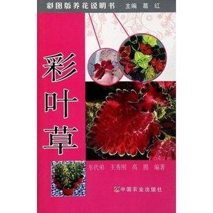 中国农业出版 图书 园林艺术 专业科技 著 社 彩叶草 9787109156173 车代弟