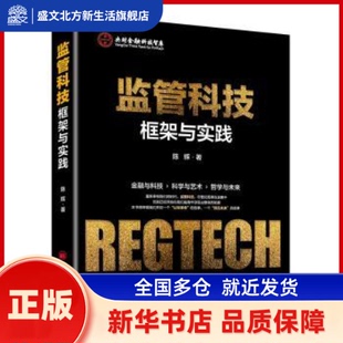 监管科技——框架与实践 陈辉 中国经济出版社 新华书店正版