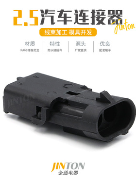 12010973汽车接插件连接器2.5系列2孔防水大电流公母接头插头端子