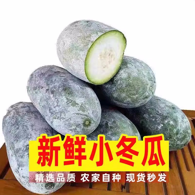 小冬瓜新鲜现摘迷你小香冬瓜