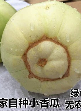 京东现摘现发头茬甜瓜小香瓜脆瓜