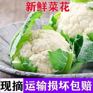 新鲜花菜 老品种花椰菜当季农家自种白菜花现摘现发蔬菜1-9斤包邮
