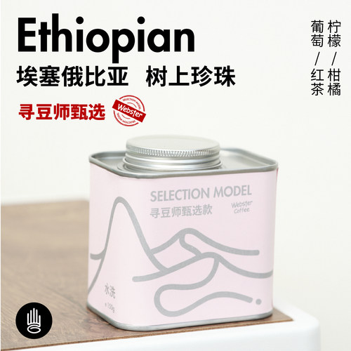 编织者咖啡乌拉嘎树上珍珠咖啡豆