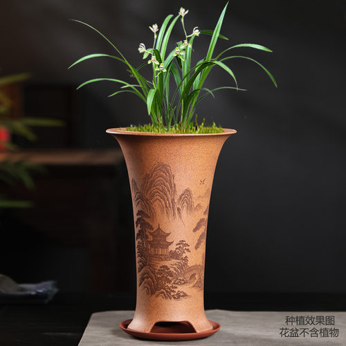高档典雅紫砂兰花专用盆配托盘
