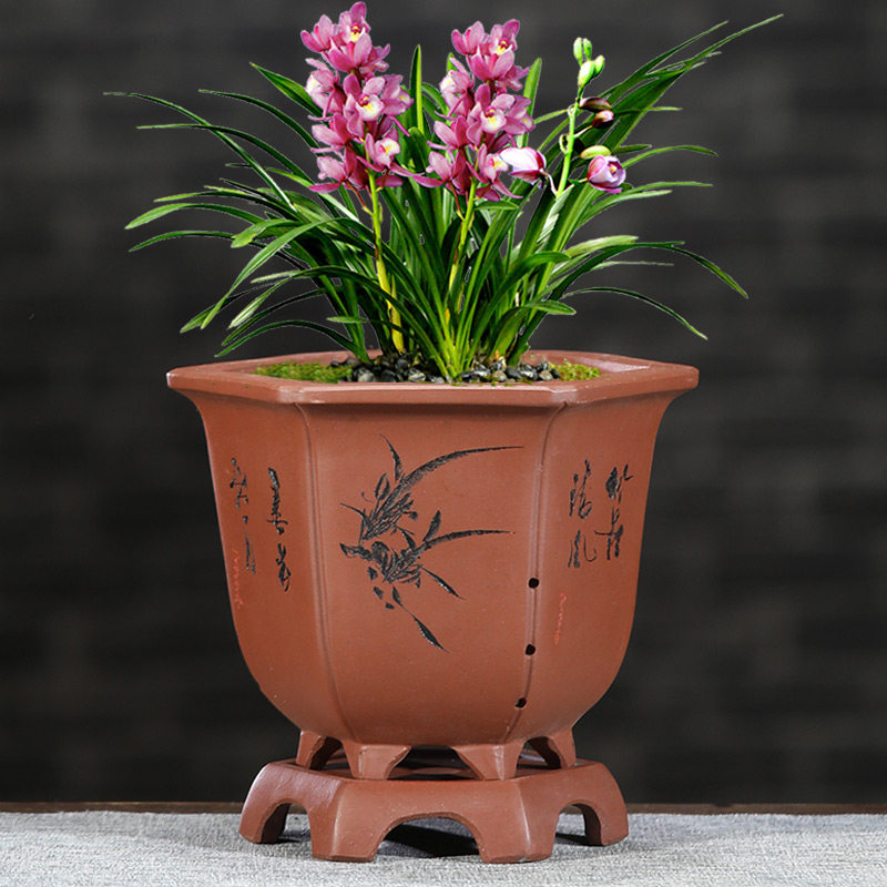 宜兴紫砂兰花盆带托盘兰花专用盆君子兰室内家用桌面精品绿植花盆