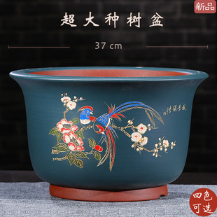 特大精品紫砂盆大号君子兰盆圆形盆景花盆兰花花盆庭院落地盆栽