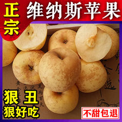 新鲜水果 正宗山东烟台威海黄金维纳斯苹果纯甜4-5斤吃的冰糖心丑