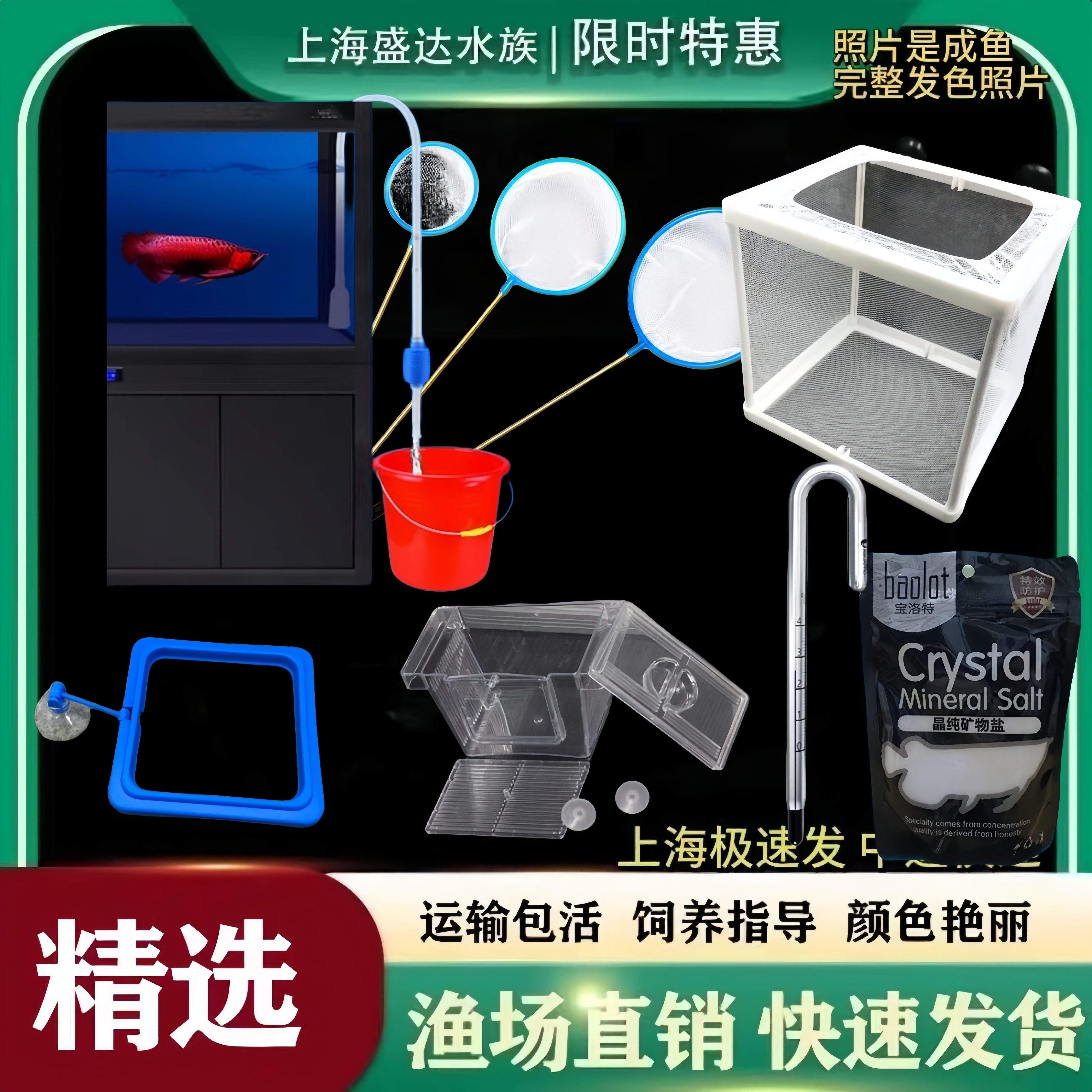 鱼缸鱼捞渔网抄网细眼渔捞过滤棉										