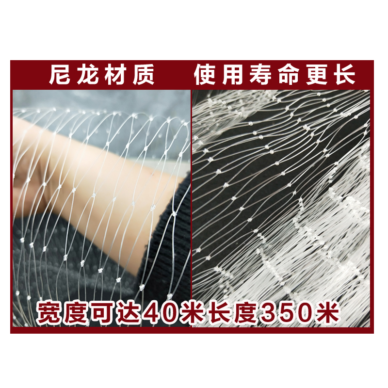 網罩養雞網魚塘果樹網防鳥尼龍防護網種植枸杞樹果園防護罩水果網在類目 鮮花速遞/花卉仿真/綠植園藝, 園藝用品, 其它園藝用品中 - 來自Buy2taobao.com提供專業的淘寶代購服務