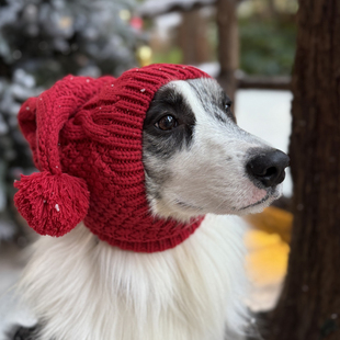 边牧新年圣诞帽子中大型犬喜庆帽子杜宾马犬保暖衣服搞怪拍照帽子