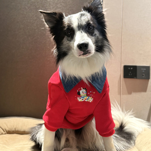 边牧衣服新年喜庆马年衣服中大型犬冬季加厚衣服拉布拉多过年衣服