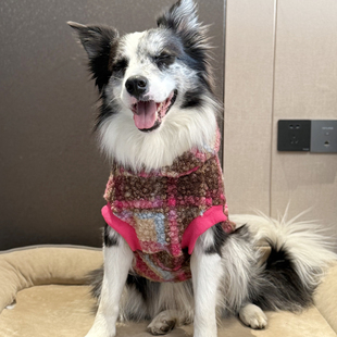 边牧衣服冬季圈圈绒保暖衣服拉布拉多金毛大型犬衣服新年喜庆衣服