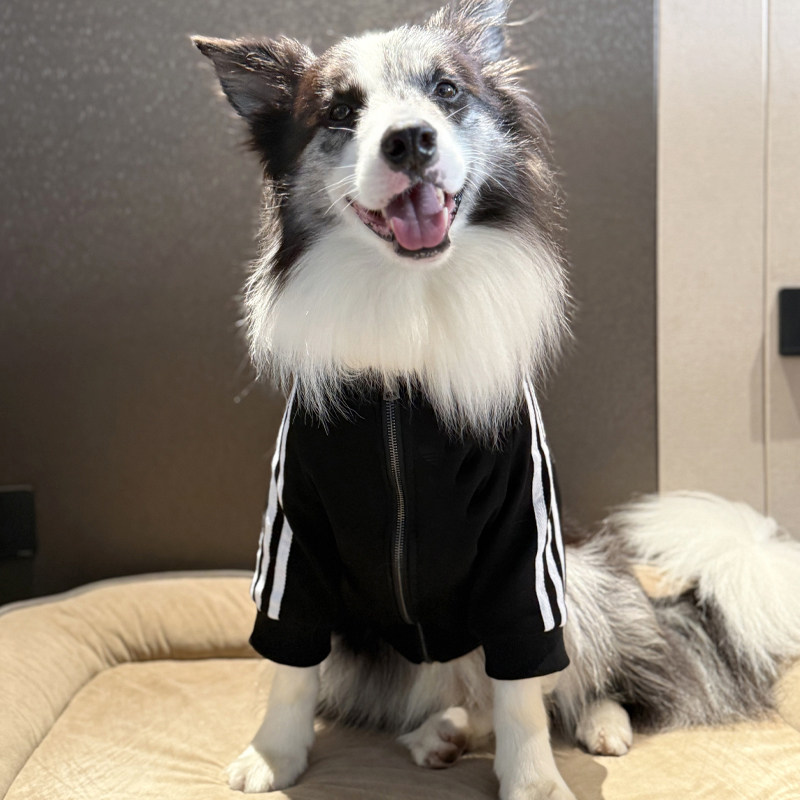 边牧衣服潮牌中大型犬秋冬衣服帅气狗狗衣服防掉毛拉链衣服