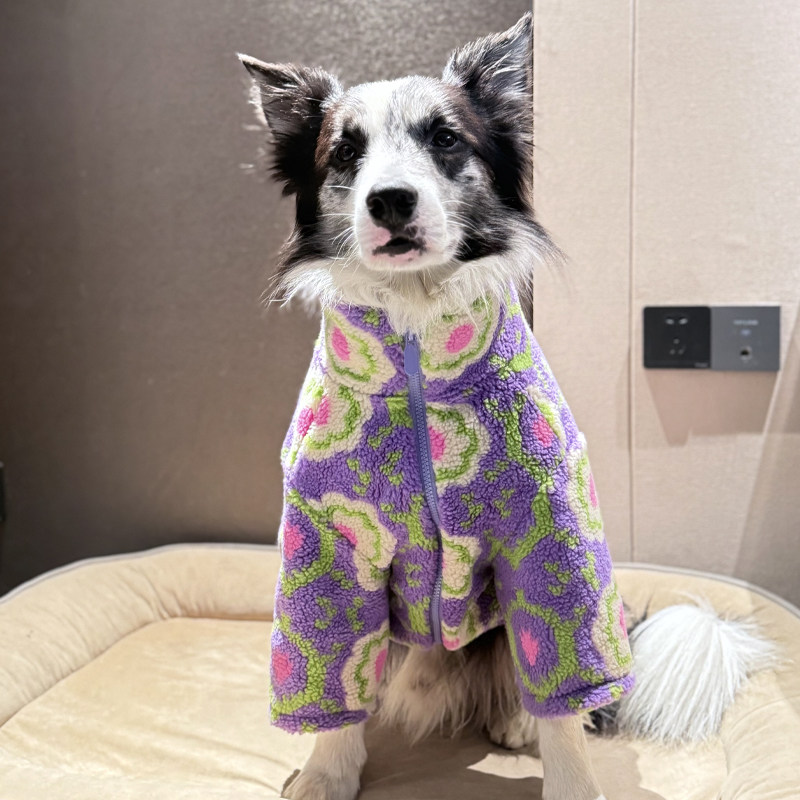 边牧衣服冬季羊羔毛保暖棉服中大型犬加厚衣服宠物防感冒衣服冬,宠物/宠物食品及用品,狗宠物服装/雨衣,淘宝优惠券,粉丝福利购,淘宝优惠卷