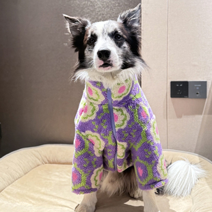 边牧衣服冬季羊羔毛保暖棉服中大型犬加厚衣服宠物防感冒衣服冬