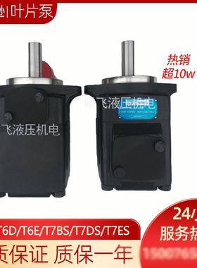 进丹尼逊叶片泵T6D 038 2R01 B1/T7DS派克高压压铸机液压油泵电动