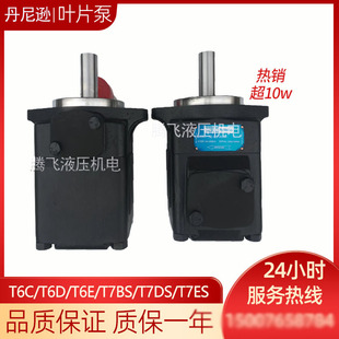 进丹尼逊叶片泵T6D 038 2R01 B1/T7DS派克高压压铸机液压油泵电动