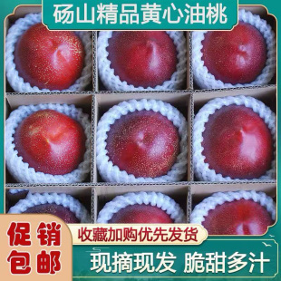 砀山油桃新鲜水果现摘黄肉油桃大果脆甜5斤包邮大果应季孕妇助农