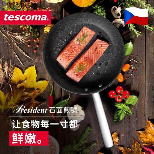 捷克/进口tescoma不粘煎锅辅食锅