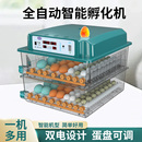 孵化器小型家用孵蛋器全自动智能孵化箱鸭鹅鸽子鹌鹑小鸡孵化机