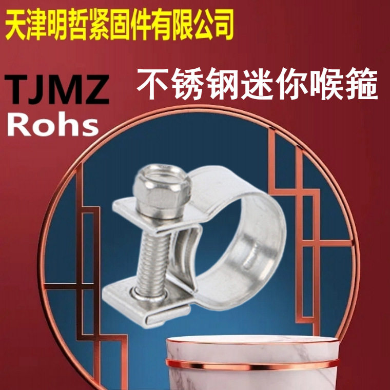 304不锈钢汽车燃油管卡箍迷你喉箍风管卡箍燃油管软管夹