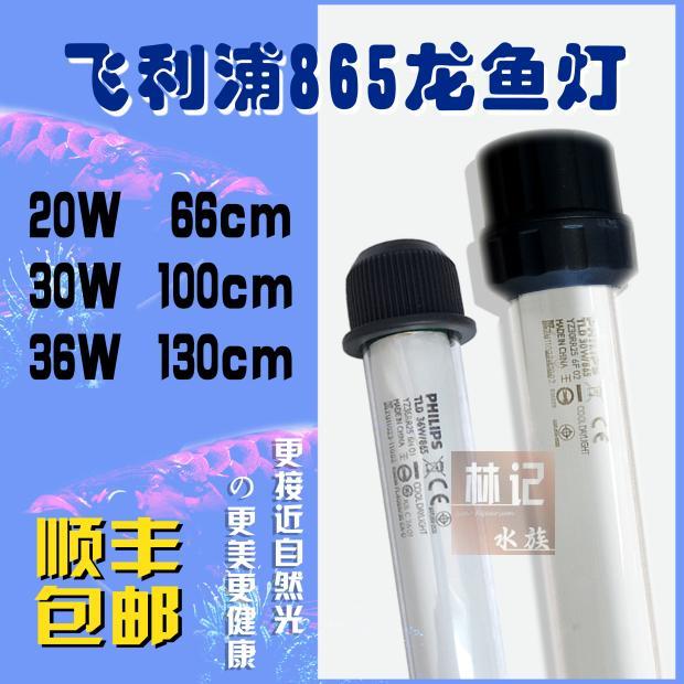 飞利浦865红龙诱色金龙发色专用灯T8潜水灯鱼缸防水灯水中照明灯在类目 宠物/宠物食品及用品, 水族世界, 鱼缸等水族设备, 照明器材中 - 来自Buy2taobao.com提供专业的淘宝代购服务