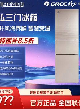 Gree/格力晶弘冰箱231升 BCD-231WETG