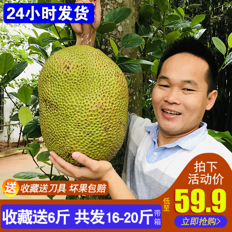 热销102件假一赔三泰国菠萝蜜新鲜水果热带进口海南特产波罗蜜16-20斤带箱非红心肉