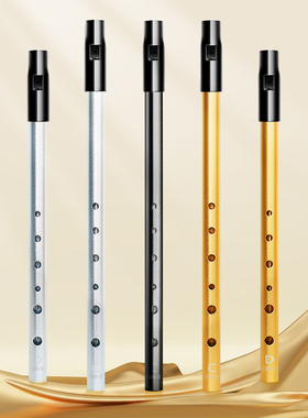 爱尔兰哨笛C调D调小学生专用六孔直笛儿童专业演奏高低音笛子竖笛