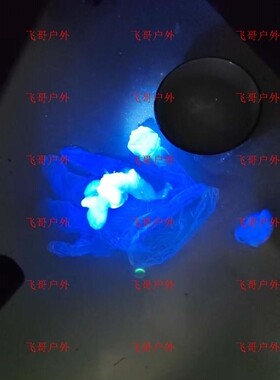 韩国10W灯珠365 紫外荧光灯棉花化纤检测紫光led手电筒皮肤检测