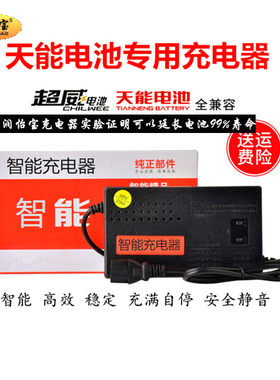 天能电动三轮车充电器9660v
