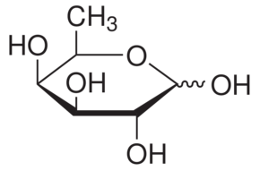 D(+)-岩藻糖；6-脱氧-D-半乳糖 3615-37-0
