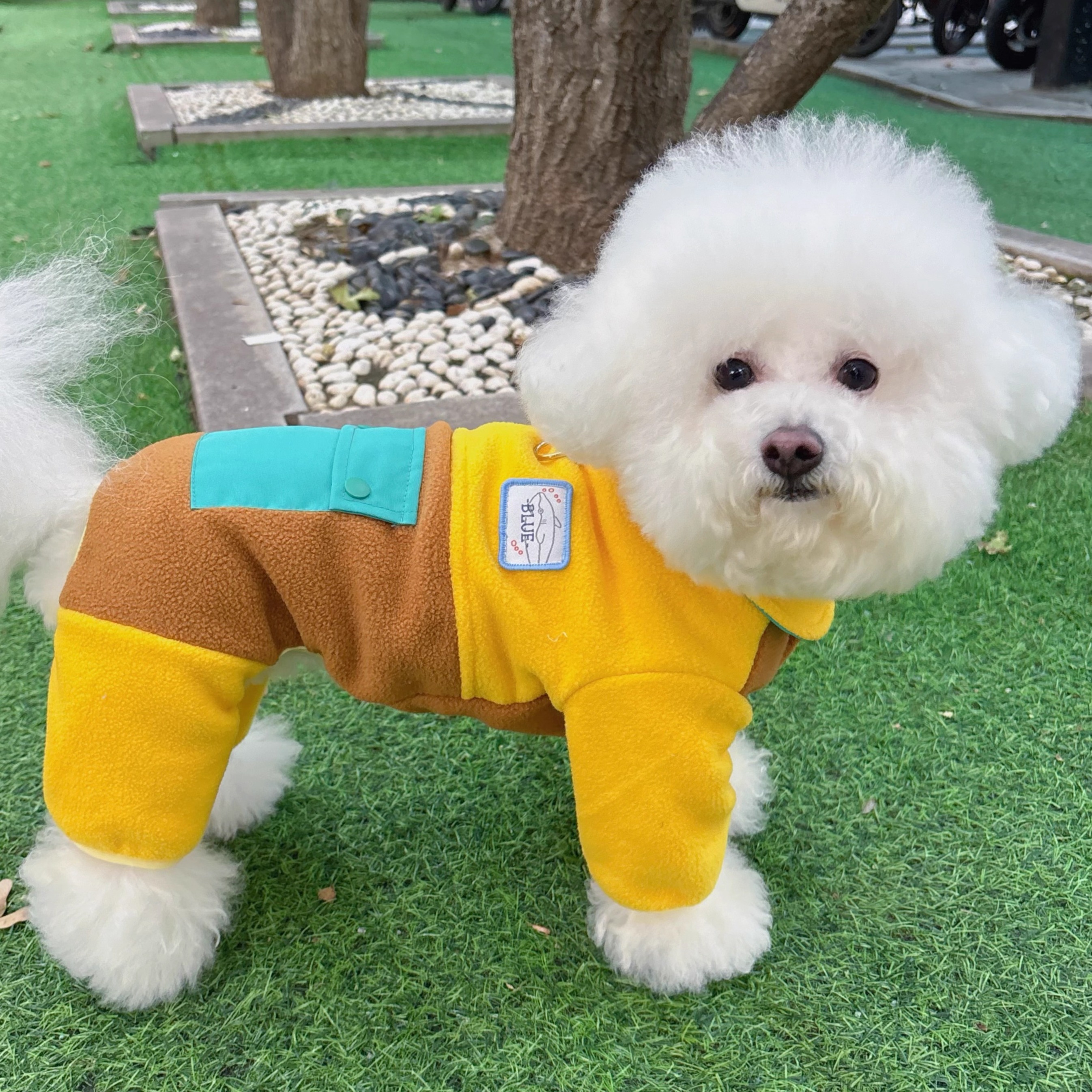 2025新款小狗狗衣服小型犬比熊泰迪雪纳瑞可牵引宠物四脚衣服秋冬