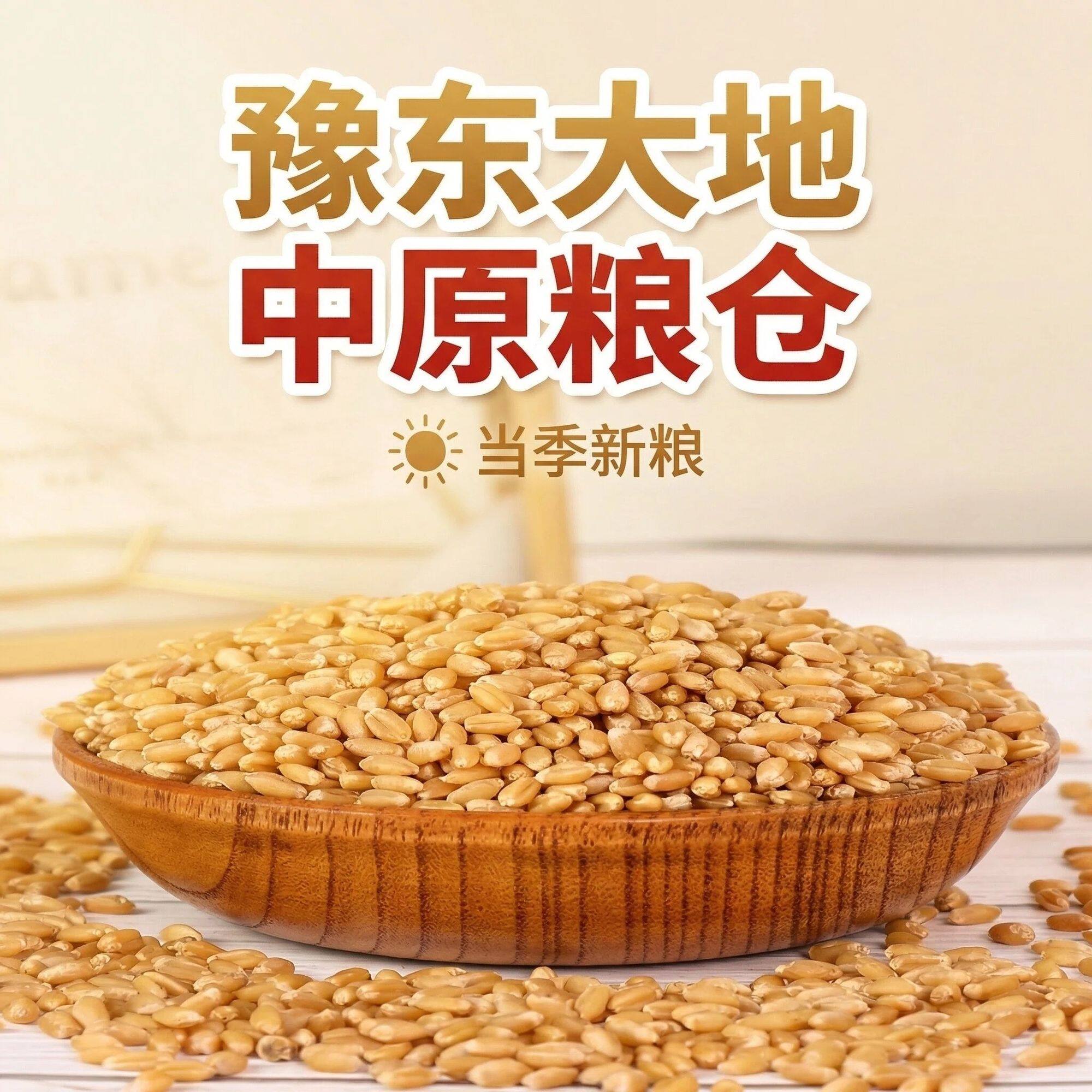 2026年农家小麦粒麦芽糖 猫草种子可食用酿酒喂鸡鸭鹅鸟新鲜杂粮